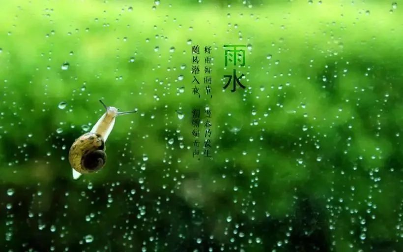 “雨水”来了，注意健脾祛湿防春寒，保健养生这么做！