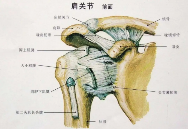 给爱打麻将的人一个养生理由：适度搓麻，延缓认知衰退！