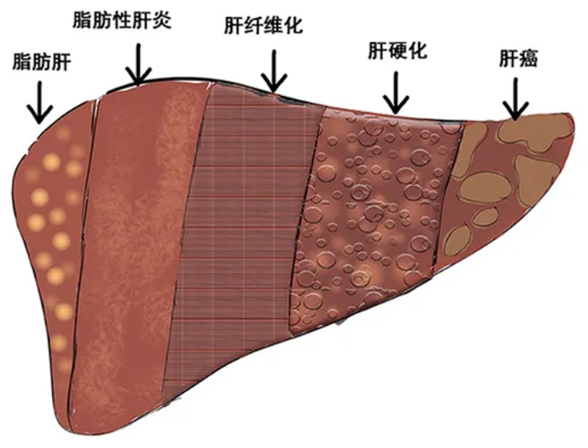 微信图片_20221019091211.png