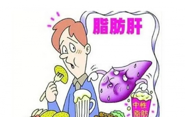 体检查出轻度脂肪肝？想要逆转需要做到这几点